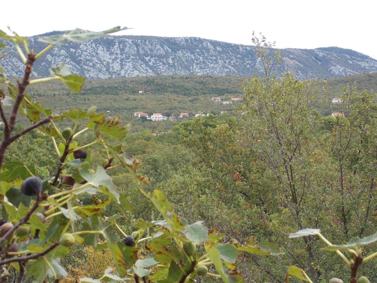 Apartments Rogic Jadranovo Kültér fotó